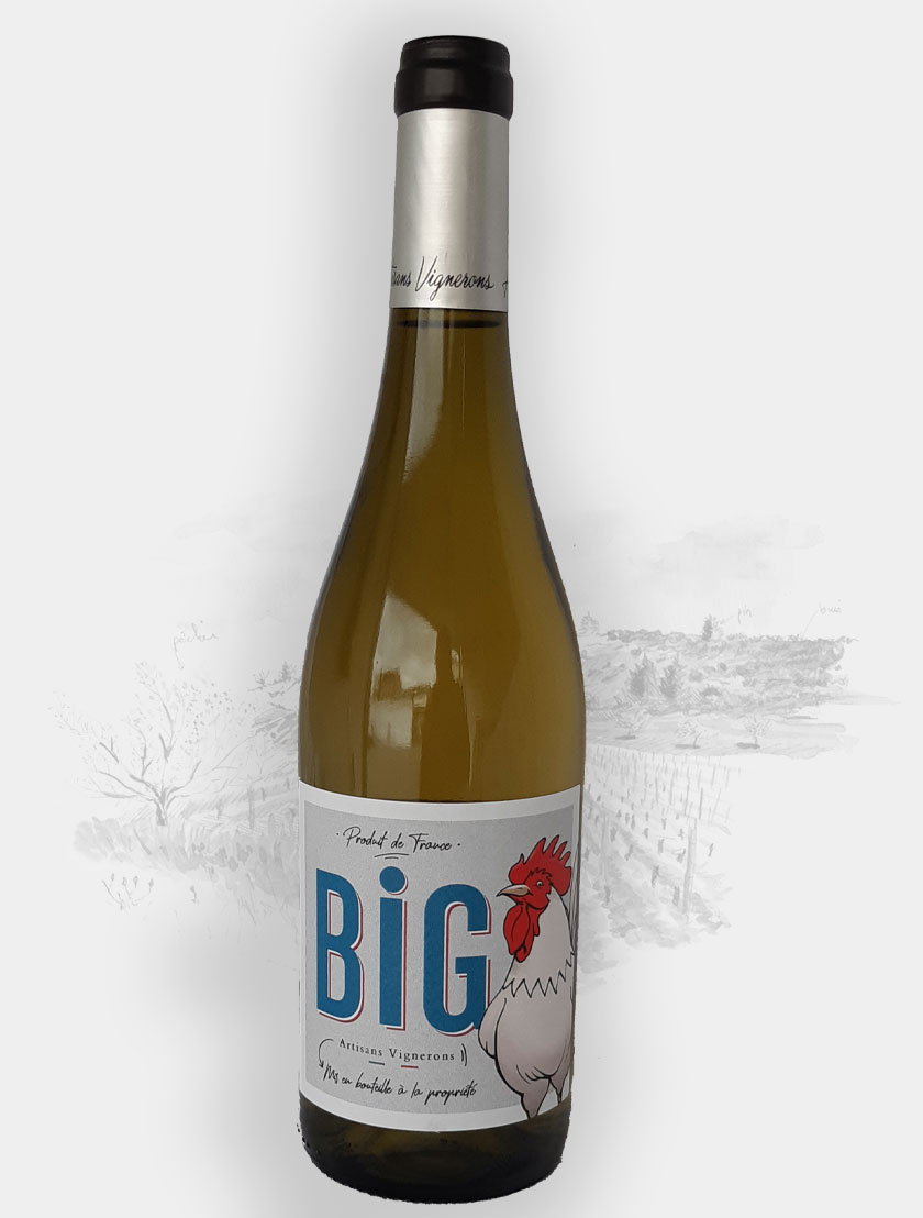 Big-Coq-blanc-format-840x1108px